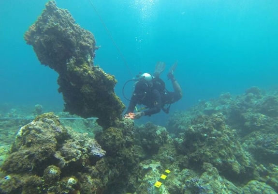 Eksplorasi bawah laut di Kepulauan Sangihe mendapatkan temuan beragam situs bernilai historis-arkeologis (Foto ISTIMEWA)