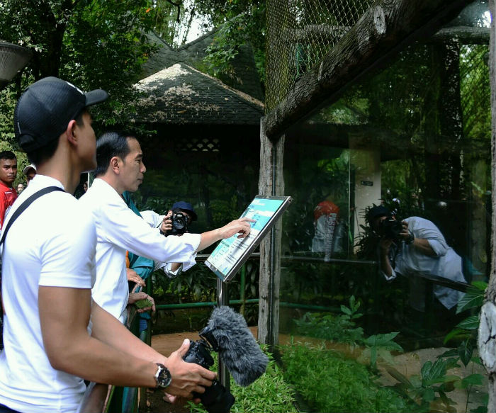 Presiden Joko Widodo dan putranya, Kaesang Pangarep, menikmati liburan di Taman Margasatwa Ragunan seraya menambah wawasan tentang flora dan fauna.