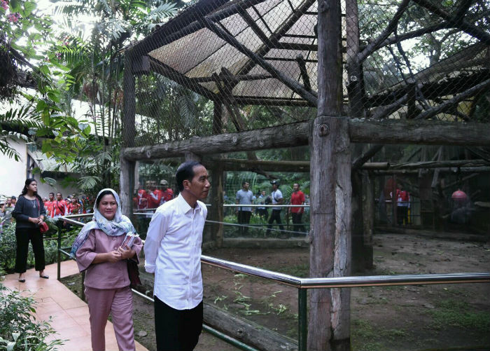 Kepala Negara dan Ibu Negara Iriana Joko Widodo mengamati berbagai koleksi binatang yang dimiliki Taman Margasatwa Ragunan.
