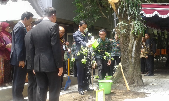 Presiden Ir H Joko WIdodo mengakhiri penanaman pohon cendana dengan menyiraminya di halaman almamaternya [Foto R Toto Sugiharto/KAGAMA] 