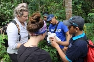 mahasiswa dari Universitas Charles Darwin diajak untuk sampling herpetofauna di Taman Sungai Mudal Kulonprogo.(Foto: Dok. Humas Fabio)