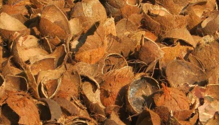 Tempurung tari yang memanfaatkan disebut tari kelapa dengan 15 Manfaat