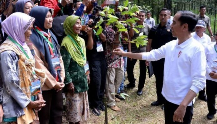 Penanaman pohon yang dilakukan pada Jumat (14/2/2020) ini merupakan upaya rehabilitasi hutan dan lahan di sekitar kawasan Gunung Merapi. Foto: Biro Setpres