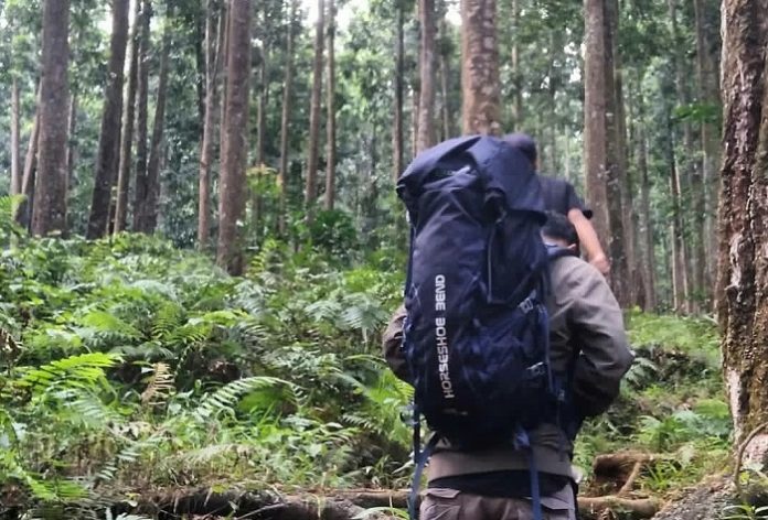 Persoalan kondisi aktual hutan Jawa serta kerentanan Pulau Jawa terhadap bencana lingkungan tidak menjadi pertimbangan pemerintah (KLHK). Foto: Instagram @_bagus_cilik
