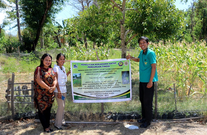 POLTANI NTT menjalin kerja sama dengan Fakultas Kehutanan UGM dalam pengembangan agroforestri tanaman cendana. (Foto: Humas UGM)