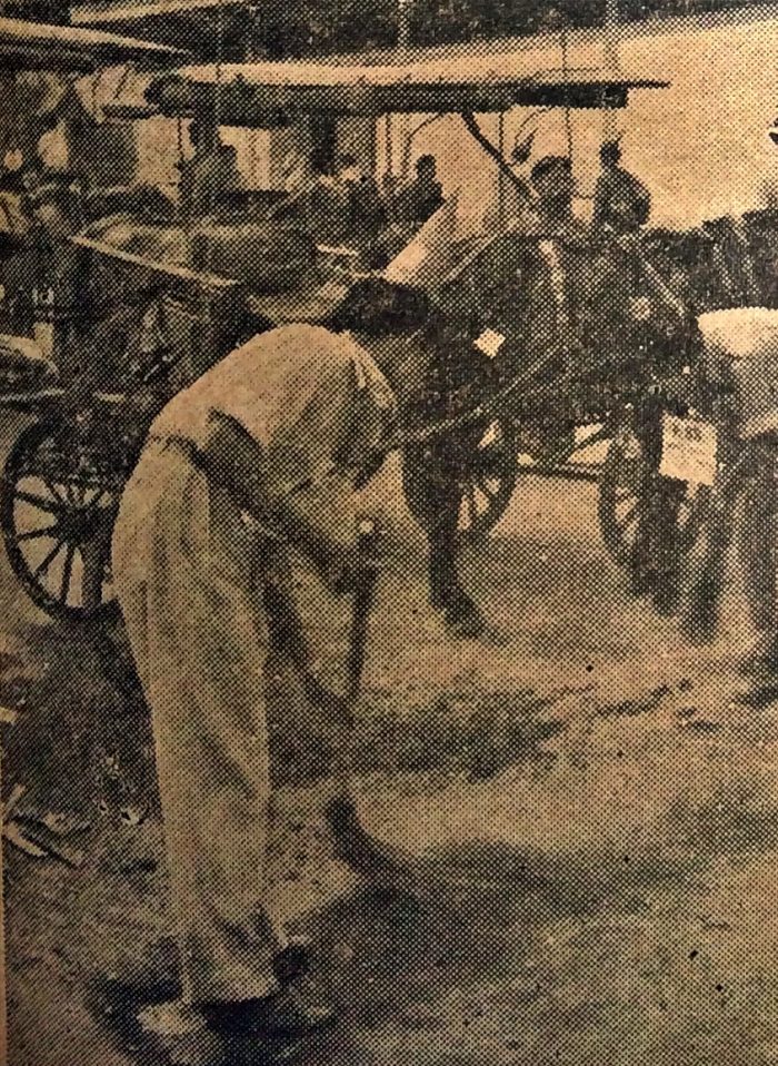 Sebagian mahasiswa membersihkan kotoran kuda di dekat pangkalan andong Jalan Malioboro. Foto: Majalah Gadjah Mada terbitan Oktober 1953