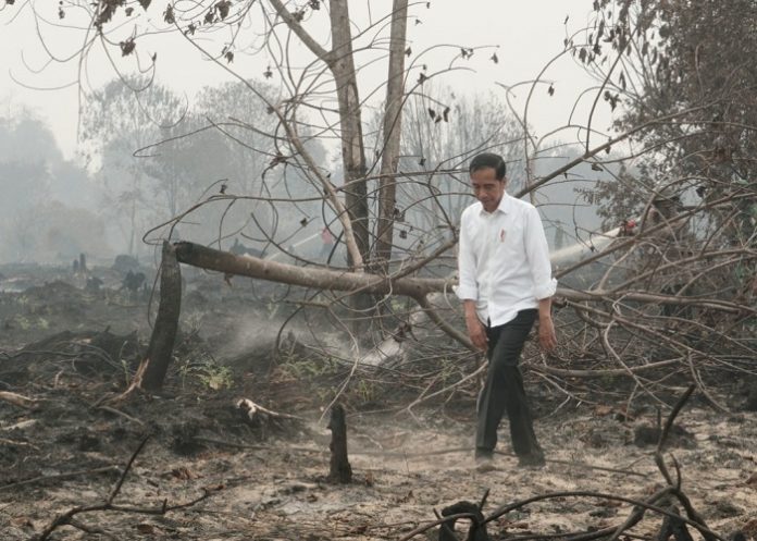 Presiden Joko Widodo menghargai kerja keras segenap jajaran yang terkait untuk memadamkan Karhutla di Sumatera dan Kalimantan. Foto : Setkab
