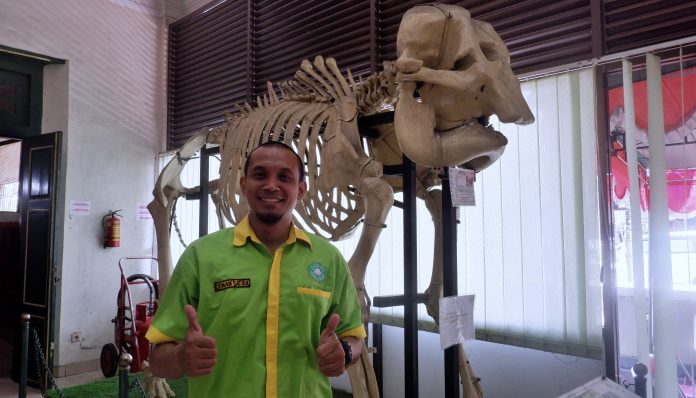 Memiliki segudang pengalaman belajar di museum, memberikan berkah bagi Donan yang kemudian ditunjuk oleh Fakultas Biologi untuk menjadi Kepala Museum Biologi UGM sejak 2012. Foto: Kinanthi