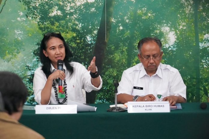 Direktur Inventarisasi dan Pemantauan Sumber Daya Hutan (IPSDH) KLHK Belinda Arunawati Margono mengungkapkan beberapa informasi mengenai penyebab kejadian banjir dan tanah longsor. Foto: KLHK