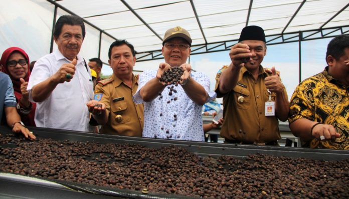 Gubernur Rohidin Mersyah fokus menjadikan kopi sebagai komoditi unggulan bagi Provinsi Bengkulu. Foto: Pemprov Bengkulu