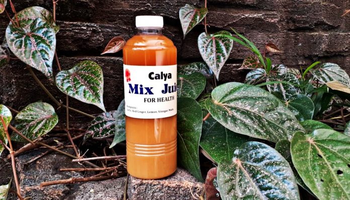 Dosen Kimia FMIPA UGM, Ani Setyopratiwi, M.Si, memiliki produk Calya Mix Juice yang diklaim punya berbagai manfaat. Foto: Ist