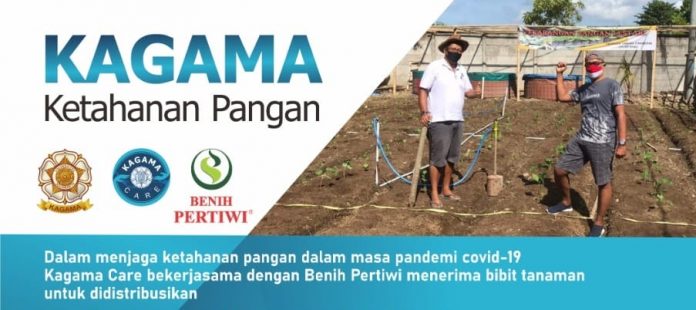 Konsep urban farming digunakan KAGAMA Care sebagai upaya menjaga ketahanan pangan pada masa pandemi Covid-19. Foto: Ist