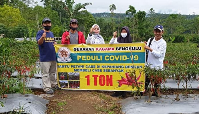 Guna membantu masyarakat terdapak Covid-19, organisasi di bawah pimpinan Gubernur Bengkulu, Rohidin Mersyah ini menghelat program Gerakan Bantu Petani. Foto: KAGAMA Bengkulu
