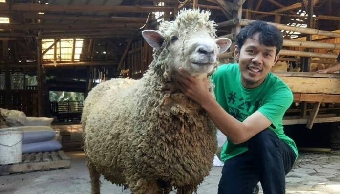 Owner Jawara Banten Farm, Nur Agis Aulia mengungkapkan, sebetulnya kebutuhan pangan masyarakat Indonesia masih sama, baik sebelum maupun pasca pandemi. Foto: Ist