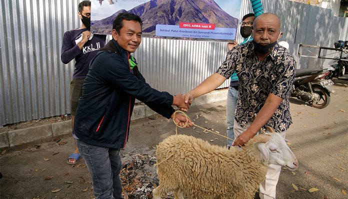 Sebanyak 14 dukuh di lereng Gunung Merapi dan Merbabu memperoleh sumbangan kambing dari KAGAMA Gelanggang dan KAGAMA Qurban Network pada Iduladha 2020. Foto: Anshor Purnomo